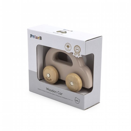 ������ �� - ��� ���� POLAR B