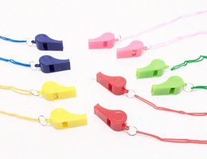 �� 24 �������� �� ����