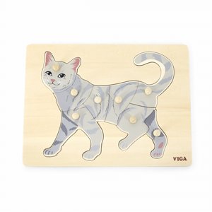 ���� ����� �������� ��� ���� VIGA