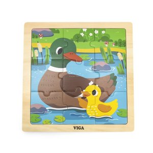 ���� �� 9 ����� - ������� VIGA