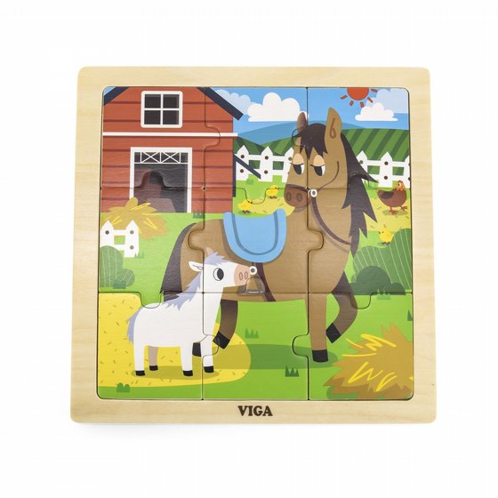 ���� �� 9 ����� - ����� VIGA