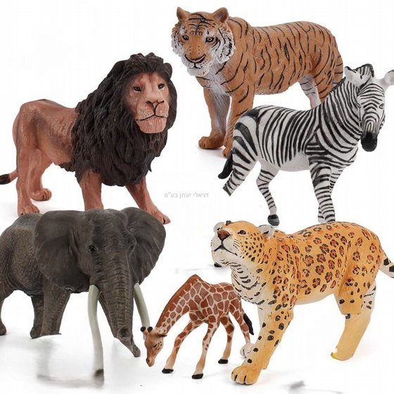 ���� �� ������