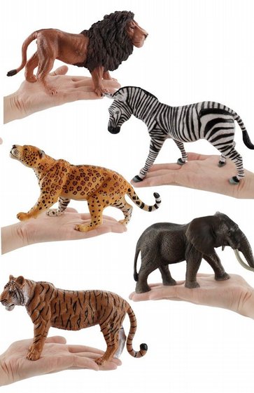 ���� �� ������