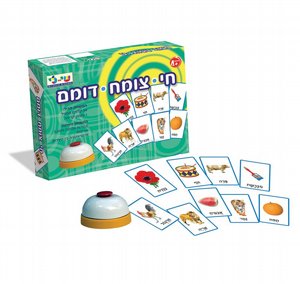 �� - ���� - ����