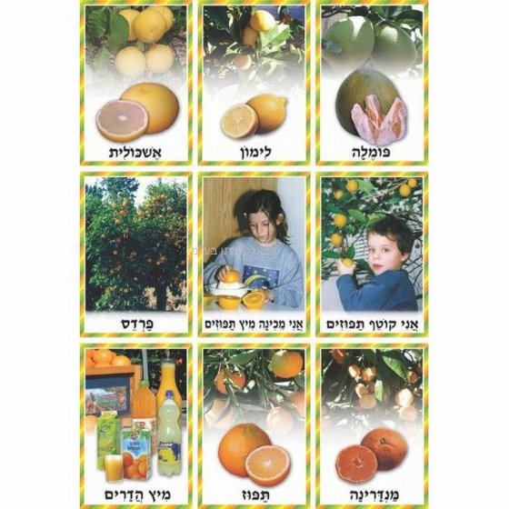 ���� ������ ��� ���