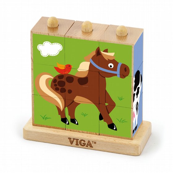 ���� ������ ���� ��� VIGA