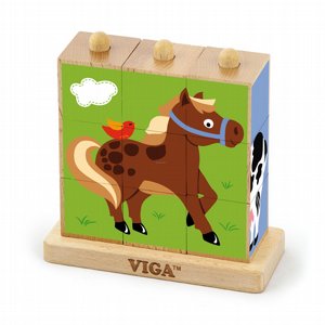 ���� ������ ���� ��� VIGA