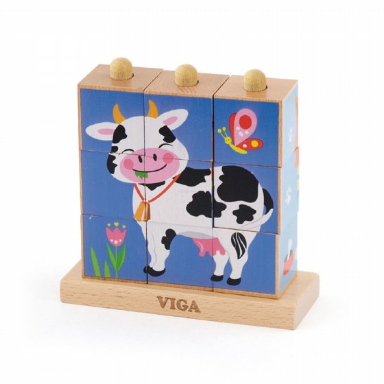 ���� ������ ���� ��� VIGA