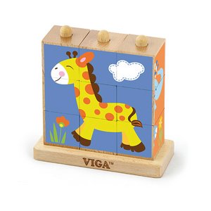 ���� ������ ��� ���� VIGA