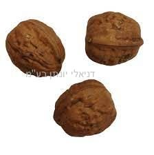 3 ������ ������ 