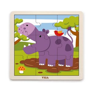���� �� 9 ����� - �������� VIGA