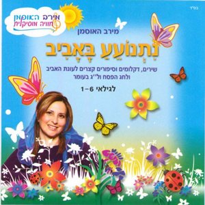 ���� ������ �����