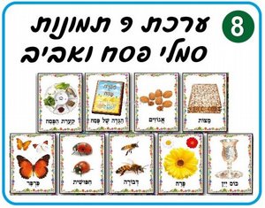 ���� ������ ��� �����