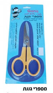 ����� ����