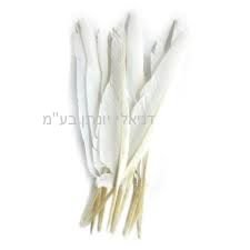 ����� ����� ������