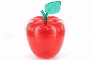 ���� ������ ����