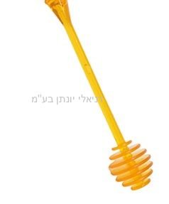 ��� ���� ������