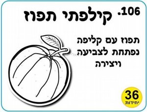 ���� ����� - ������ ����