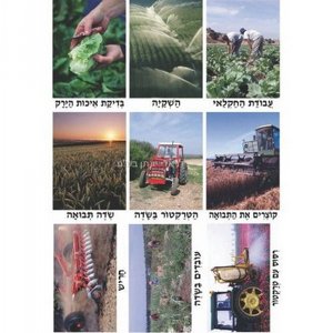 ���� ������ ������