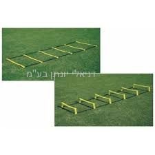 ���� ����� 6 ����� ���� �� ����