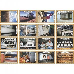 ���� ������ ��� ���� A5