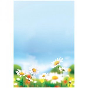 ���� ���� A4