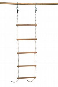 ���� ����� �� ������ 5�����