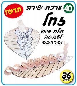 ���� ����� ��� ��� ���� 36 ������