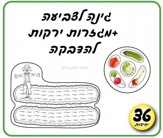 ���� ����� ����� �����