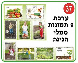 ���� 9 ������ - ����