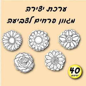 ���� ����� ����� ������