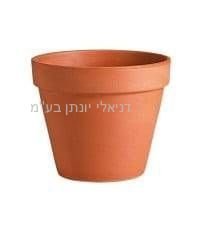 ���� ��� 6 �"�