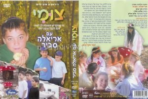 ���� DVD ����