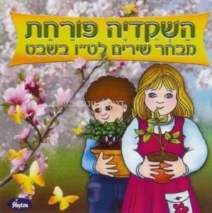 ���� ������ �����